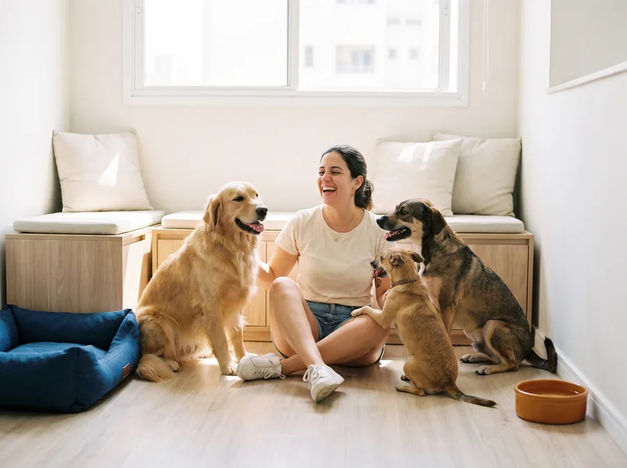 Cuidadora sentada no chão de uma creche para cães, rindo com três cachorros em volta